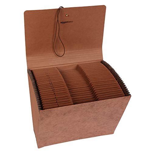 Basics Expanding File Organizer With Flap, Daily Tabs (1-31)