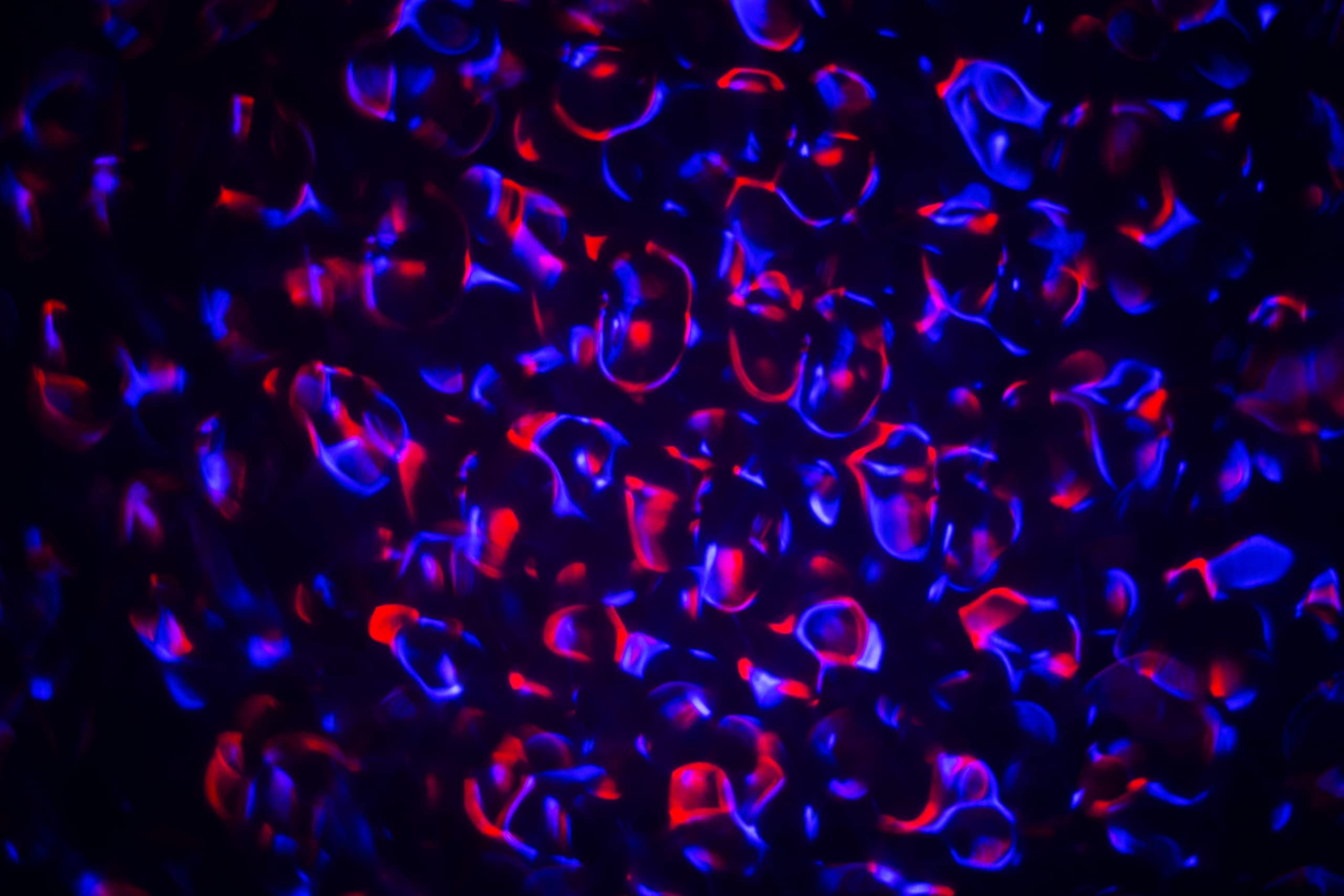 VocoPro Projection, JellyBeam-Moving LED Light, with Jellyfish Effect
