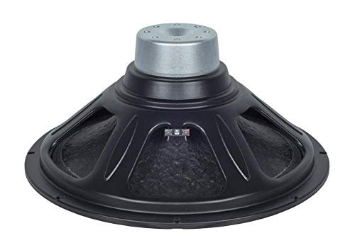 B&C 15" WOOFER