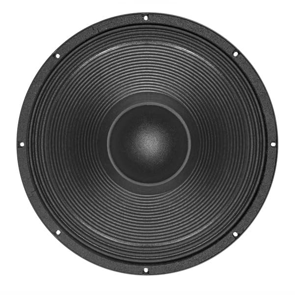 B&C Speakers 18NBX100 18-inch LF Drivers Woofer Cone TWP Waterproof Both Sides 4-inch Ventilated Copper Voice Coil Gap 1200 Wrms 2400 Watt Peak Pro Audio 8 Ohm