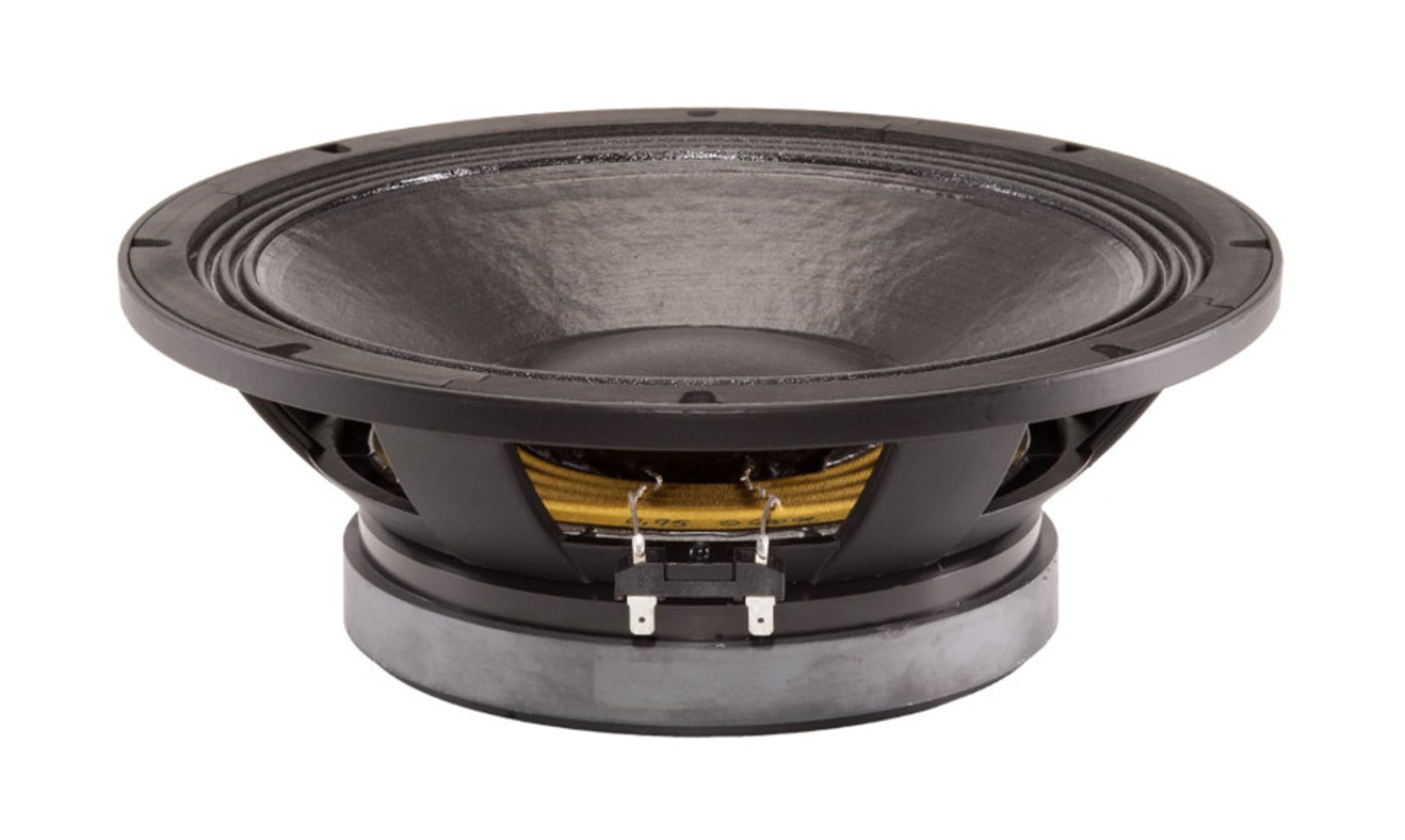 B&C Speakers 12PLB100-8 LF Drivers 12-Inch Woofer 8 Ohms Impedance 600 Watts Rms 1200 Watts Max Continuous Power Handling Capacity Ferrite Pro Audio Component Speaker Driver for Motorcycle Car