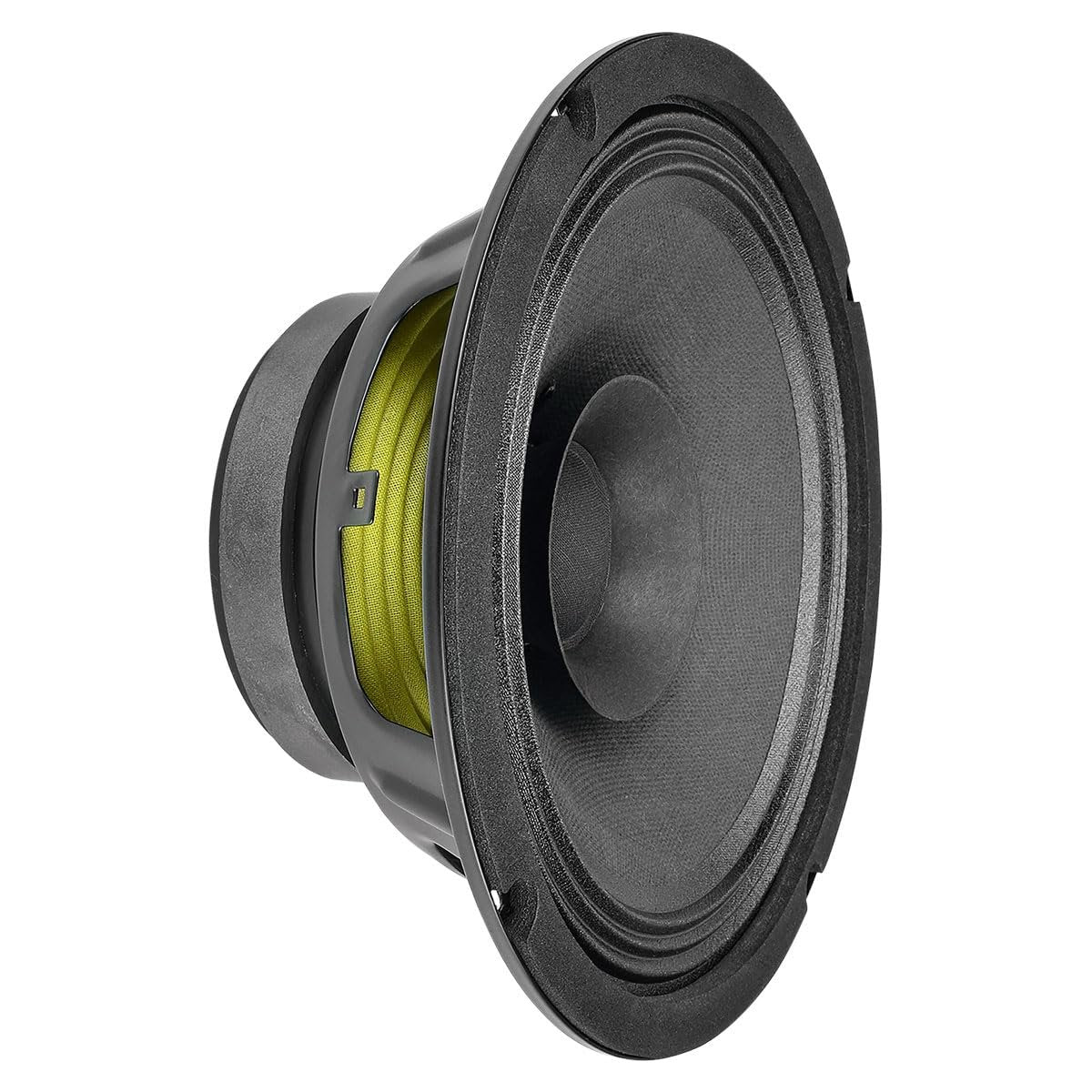 PRV AUDIO 8FR250 8 Inch Full Range Speaker, 8 Ohms, 250 Watts Continuous Program Power, 125 Watts RMS Power, 93.5 dB, Full-Range Driver Loudspeaker for Pro Audio Systems (Single)