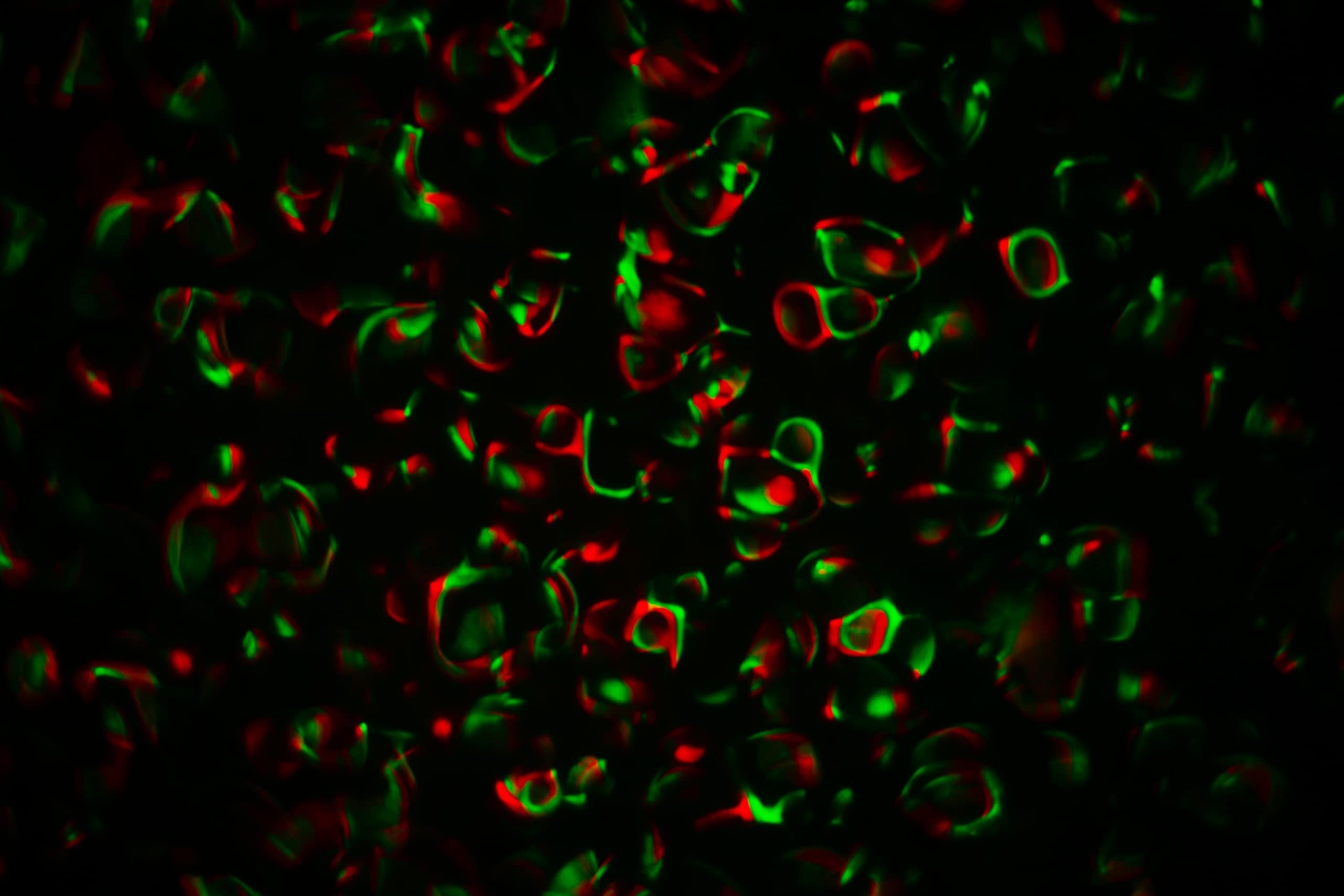 VocoPro Projection, JellyBeam-Moving LED Light, with Jellyfish Effect