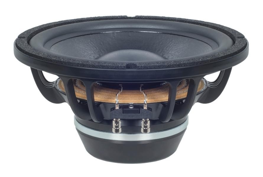B&C Speakers 10BG76-4 LF Drivers 10-Inch NEO Rolled Edge Woofer 4- Ohms Pro Audio Component Speaker Driver for Motorcycle Car