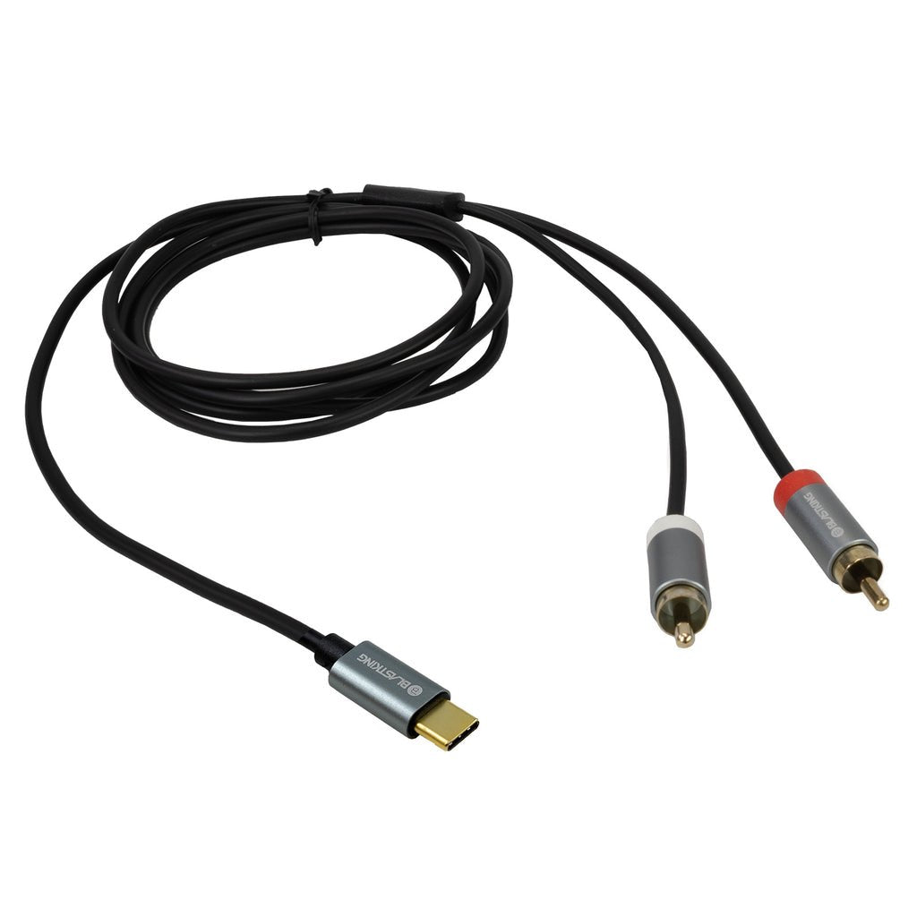 Blastking USB-C to dual RCA 6ft