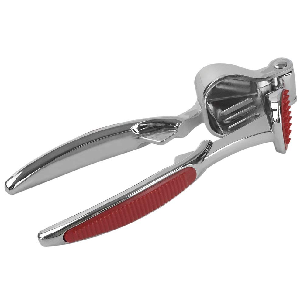 Home Basics Zinc Garlic Press