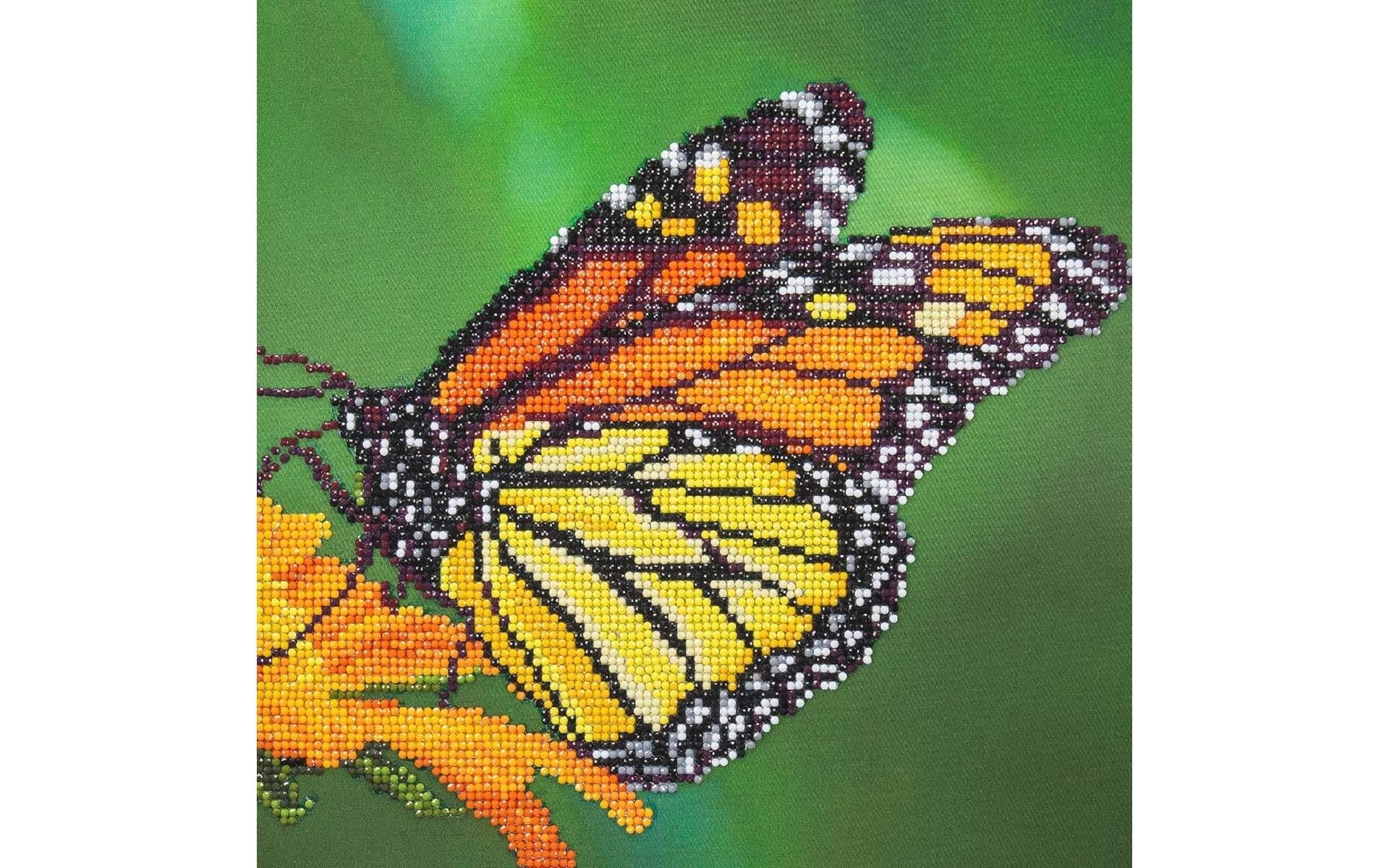 DIAMOND ART BY LEISURE ARTS Diamond Painting Kits For Adults 12"x12" Intermediate Monarch, Full Drill, Diamond Art Kits, Dimond Art, Diamond Art for Adults, Diamond Art Kit